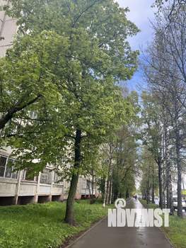 1-к квартира, вторичка, 36м2, 5/9 этаж