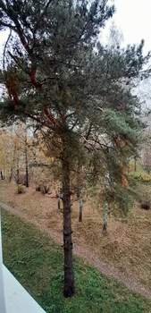 3-к квартира, вторичка, 71м2, 4/4 этаж