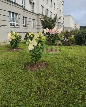 1-к квартира, вторичка, 40м2, 1/4 этаж