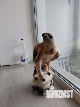 1-к квартира, вторичка, 43м2, 4/5 этаж