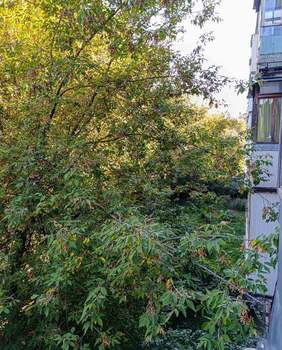 3-к квартира, вторичка, 62м2, 3/5 этаж